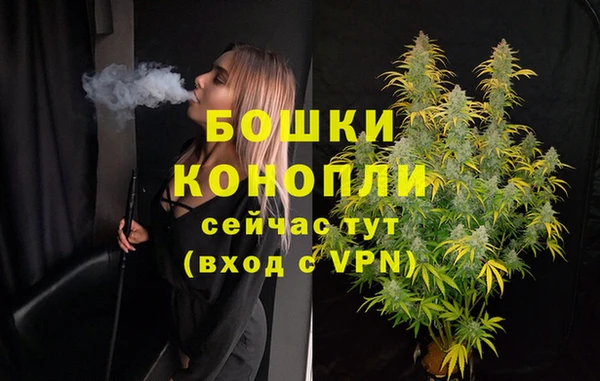 стаф Нефтекумск