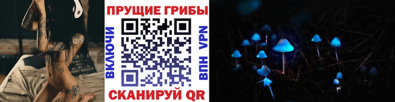 Псилоцибиновые грибы Cubensis  где найти   Курск 